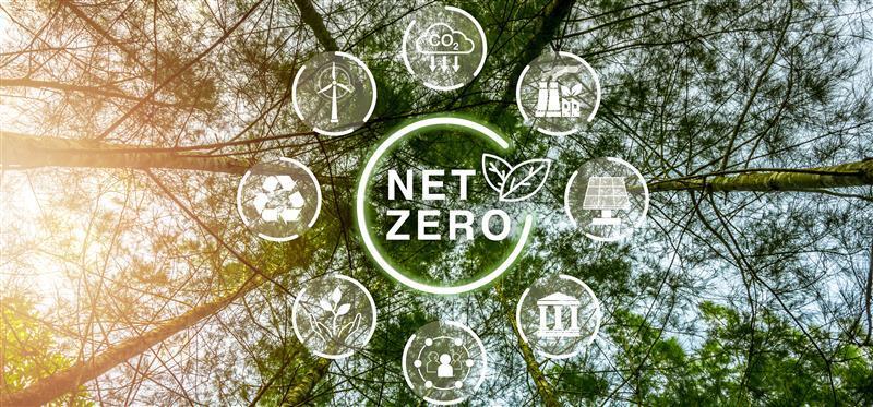 What is Net Zero: The Essential Roadmap for Businesses Targeting Net Zero by 2030